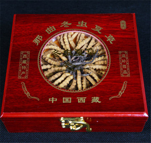 珠海虫草回收
